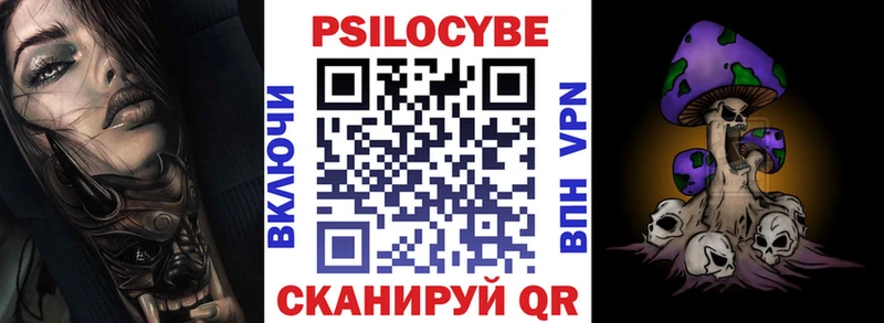 kraken как войти  Каменка  Галлюциногенные грибы Psilocybine cubensis 